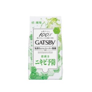 Gatsby Facial Wipes Acne Care 42's